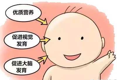 草莓视频ABB黄片檢測母乳的意義